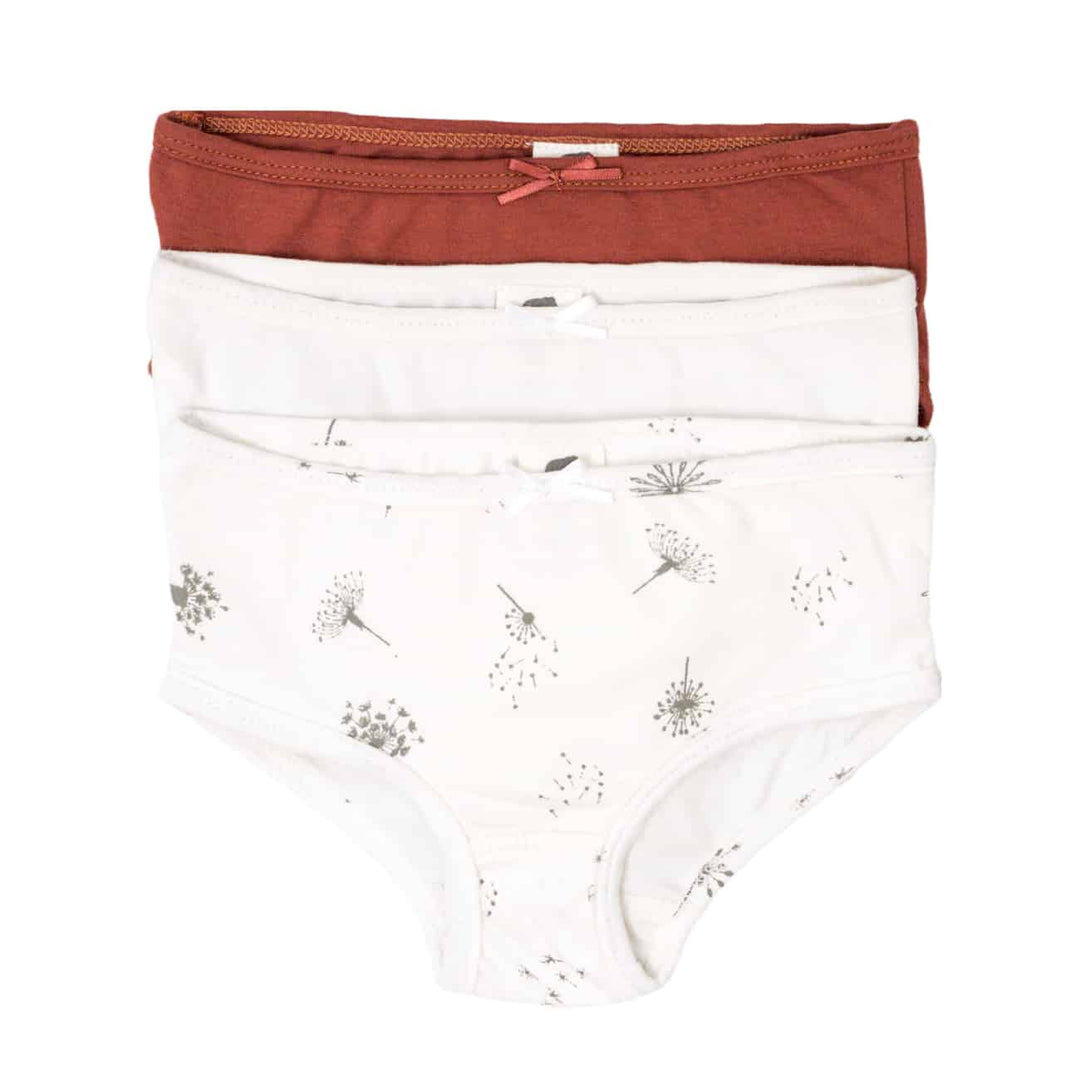 Girls Underwear 3 - Pack - Pink Elephant Brands