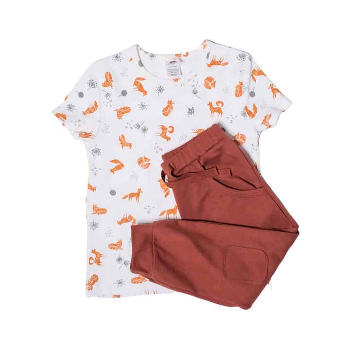 T-Shirt and Harem Pant 2 - pc Set - Pink Elephant Brands
