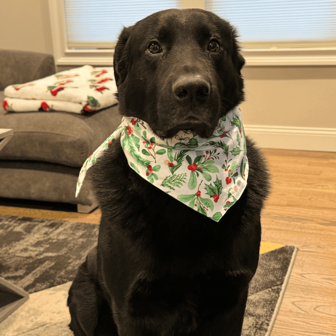 Dog Bandana - Pink Elephant Brands